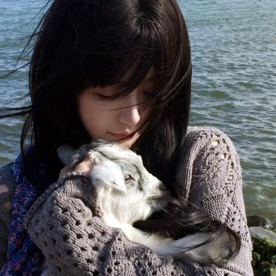 火线干探之复活